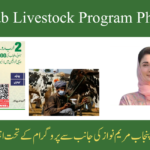 2025 Livestock Program Punjab
